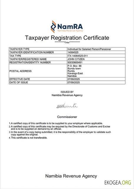 Modèle Word et PDF de certificat d'enregistrement des contribuables en Namibie